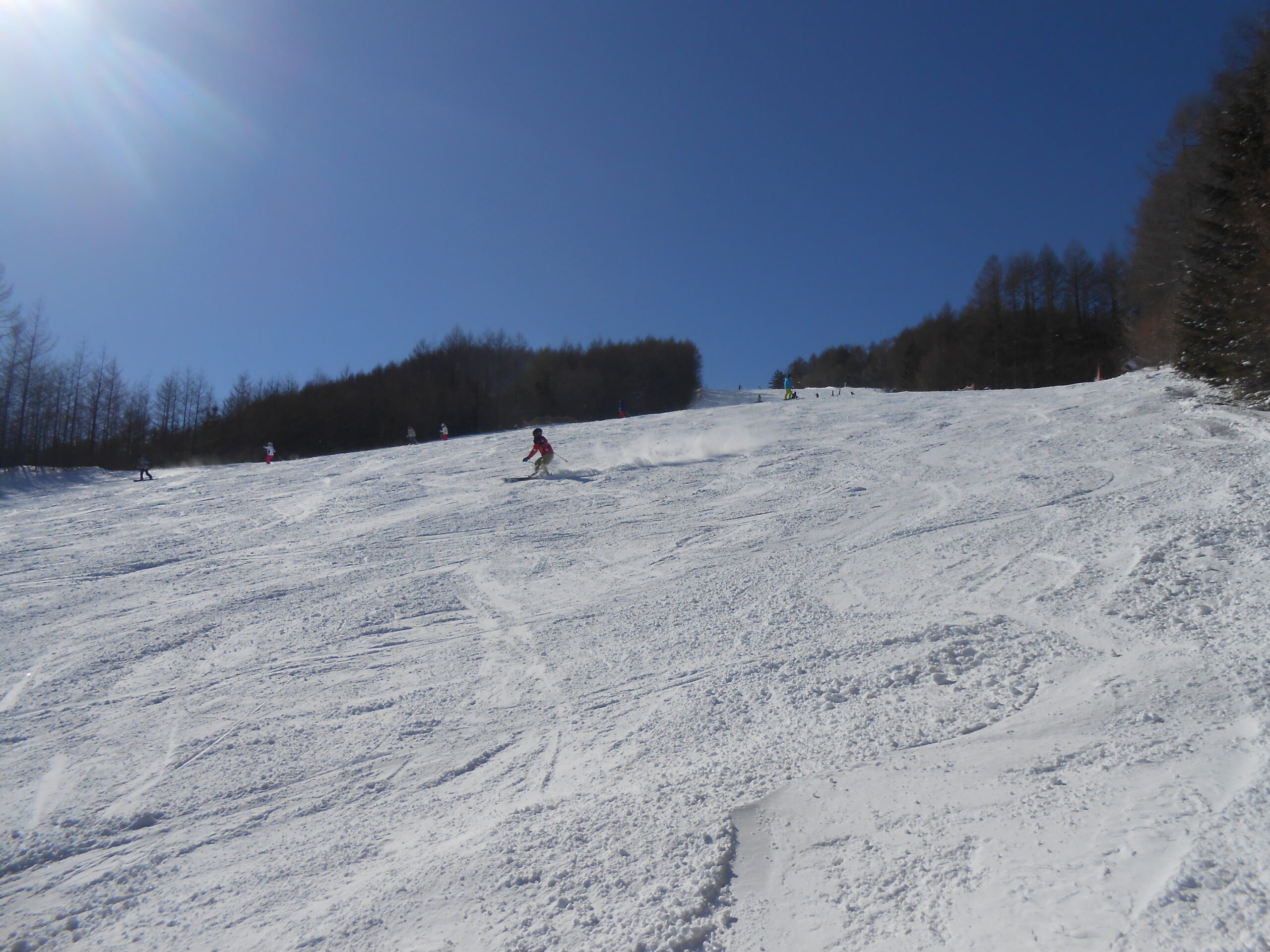 小海リエックス スキーバレー ファミリースキー情報サイト ハピスノ Happy Snow Kids