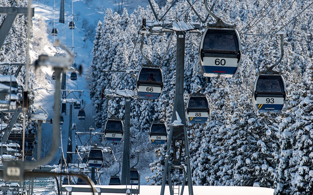 舞子スノーリゾート 女性2名リフト半額券88 2025-2026舞子シーズン券のご案内 （11⁄8更新） | CAMPAIGN | 公式