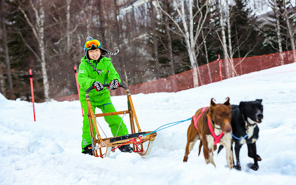 日本最大級！ 北海道「ルスツリゾート」でアクティビティも満喫【2024  